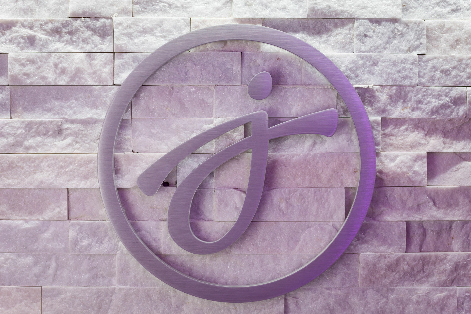 שיקגו Jaslin Hotel מראה חיצוני תמונה